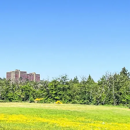 B306 By Interhome 아파트 *