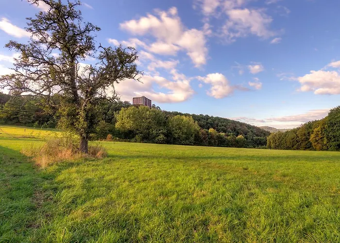 Flora - B306 By Interhome Appartement